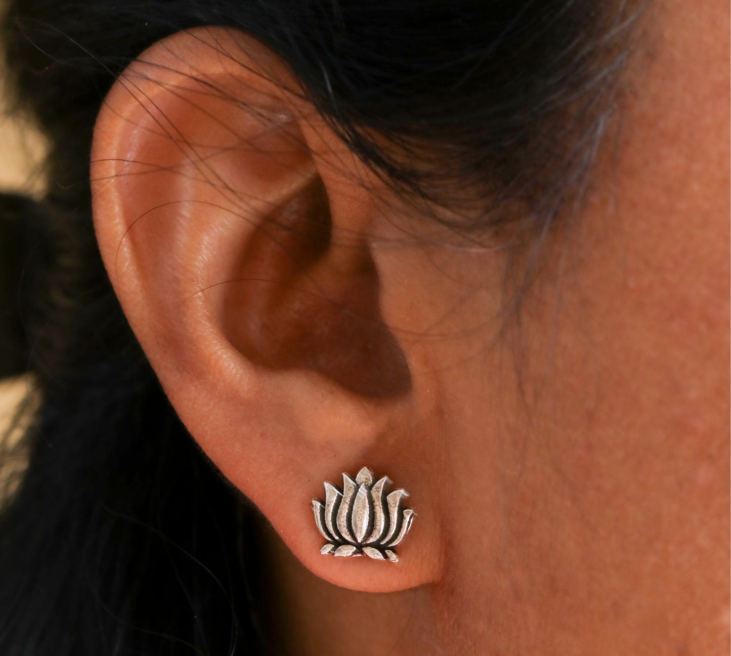 Lotus Studds-1